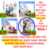 Khung ảnh Mica trong suốt Kích thước A4,A5 In hình Anime Manga Light Novel Thám tử đã chết (1) đế lùa màu đen