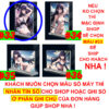 shopee-22267749351-8 Khung ảnh Mica trong suốt Kích thước A4,A5 In hình Anime Manga Light Novel Oshi no Ko đế lùa dày trong suốt