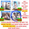 Khung ảnh Mica trong suốt Kích thước A4,A5 In hình Anime Manga Light Novel Arya Bàn Bên đế lùa màu đen
