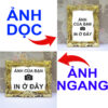 (In theo yêu cầu) Khung Ảnh Treo Tường, Để Bàn 10x15, 13x18, A5, A4, A3 Mặt Mica kèm chân đế/Đinh 3 chân (1)