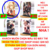 Khung ảnh Mica trong suốt Kích thước A4,A5 In hình Anime Manga Light Novel Lycoris Recoil (1) đế lùa màu đen