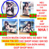 Khung ảnh Mica trong suốt Kích thước A4,A5 In hình Anime Manga Light Novel Oshi no Ko đế lùa màu đen